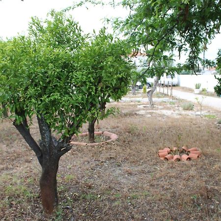 O Mundo Da Lua Villa Azeitao Eksteriør bilde