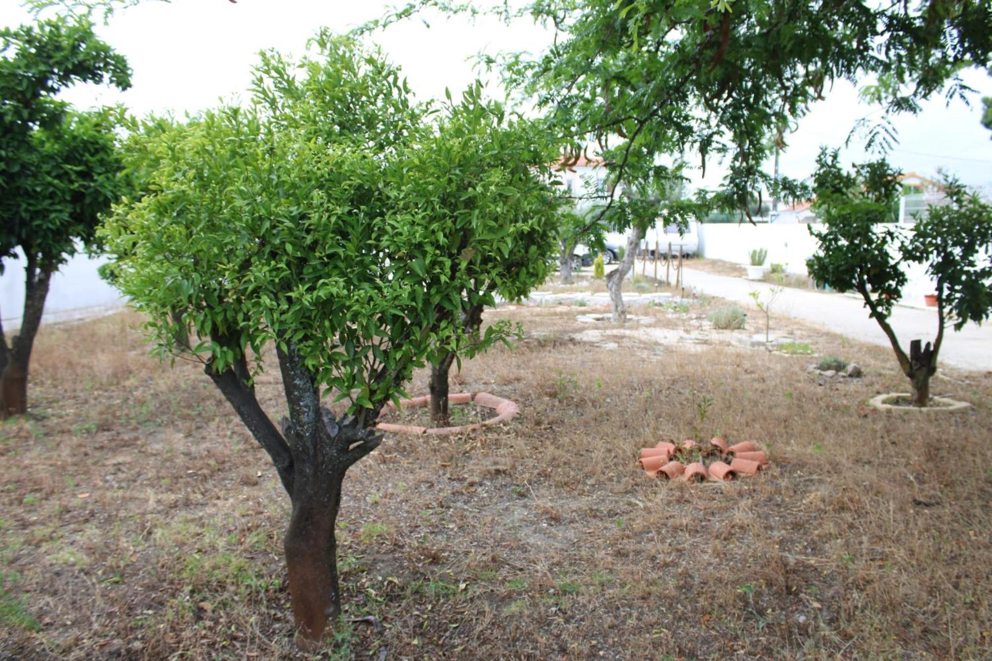 O Mundo Da Lua Villa Azeitao Eksteriør bilde